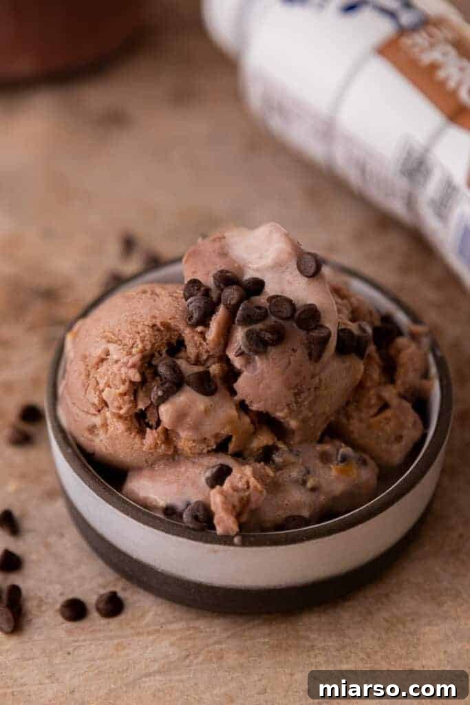 Elevate Your Protein Ninja Creami Ice Cream Perfection 2 Scoopable Ninja Creami Protein Ice Cream in a Bowl