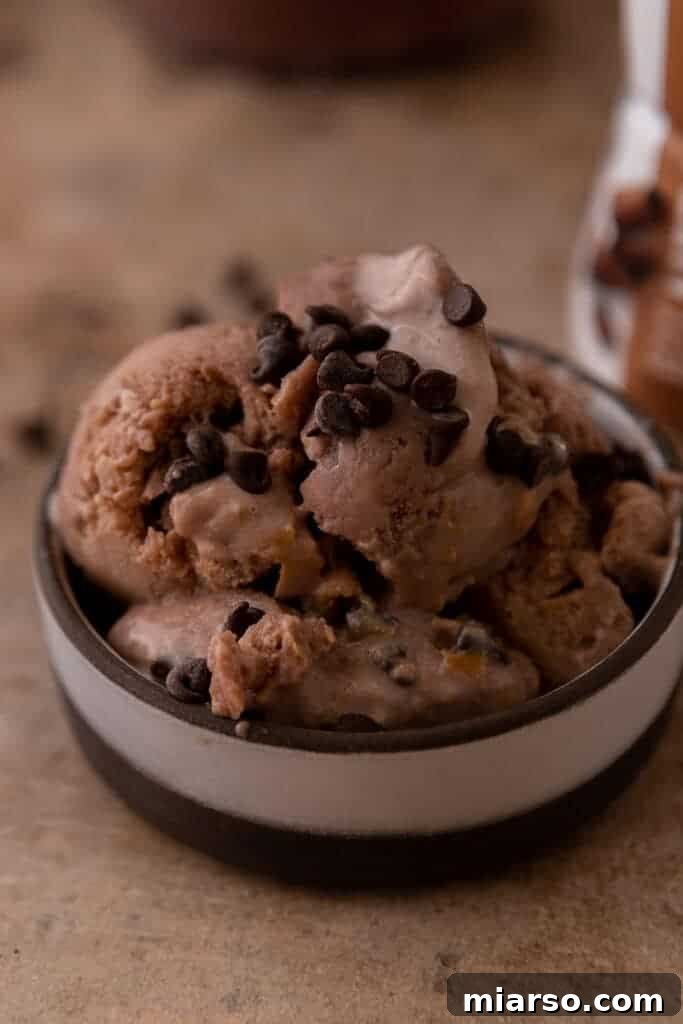 Elevate Your Protein Ninja Creami Ice Cream Perfection 6 Creamy Ninja Creami protein ice cream with mix-ins in a bowl