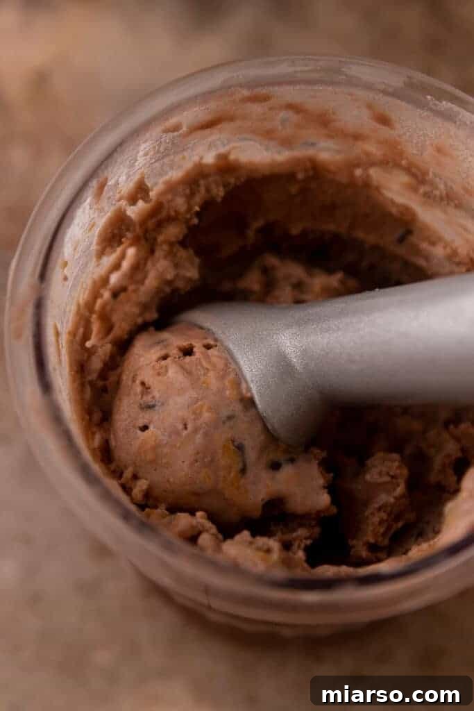 Elevate Your Protein Ninja Creami Ice Cream Perfection 7 Spoon scooping out creamy Ninja Creami protein ice cream