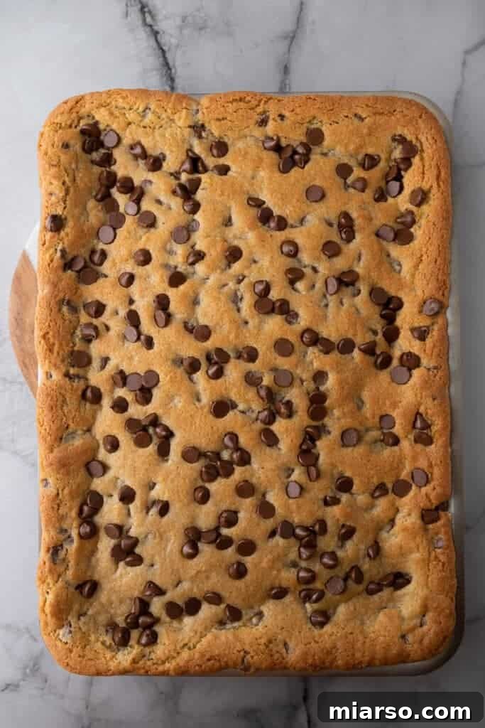 Freshly baked chocolate chip cookie bars still in the pan, displaying their golden-brown edges and soft, slightly sunken center, indicating perfect doneness.