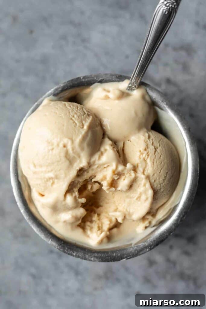 Peanut butter Silken Tofu Ice Cream