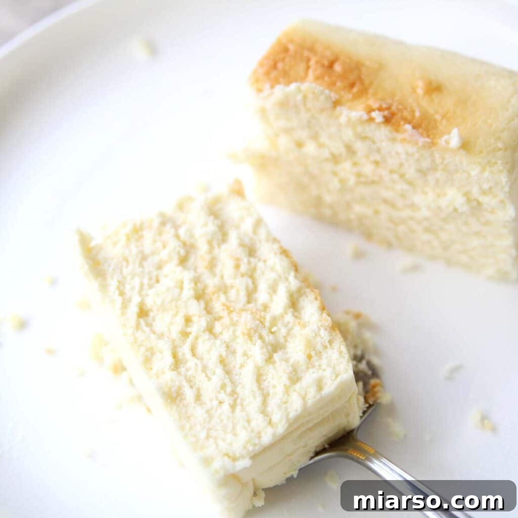Silken tofu cheesecake