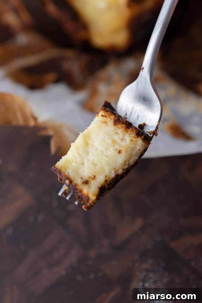 A slice of 6-inch Burnt Basque Cheesecake on a fork, ready to be eaten