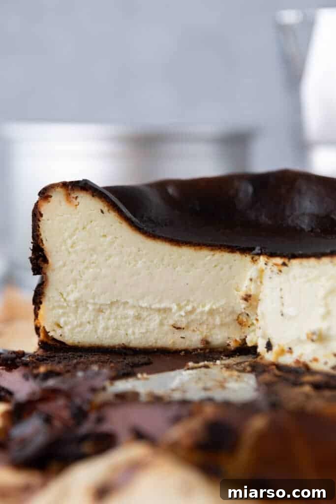 Overhead view of the 6-inch Burnt Basque Cheesecake, highlighting its dark top and creamy texture