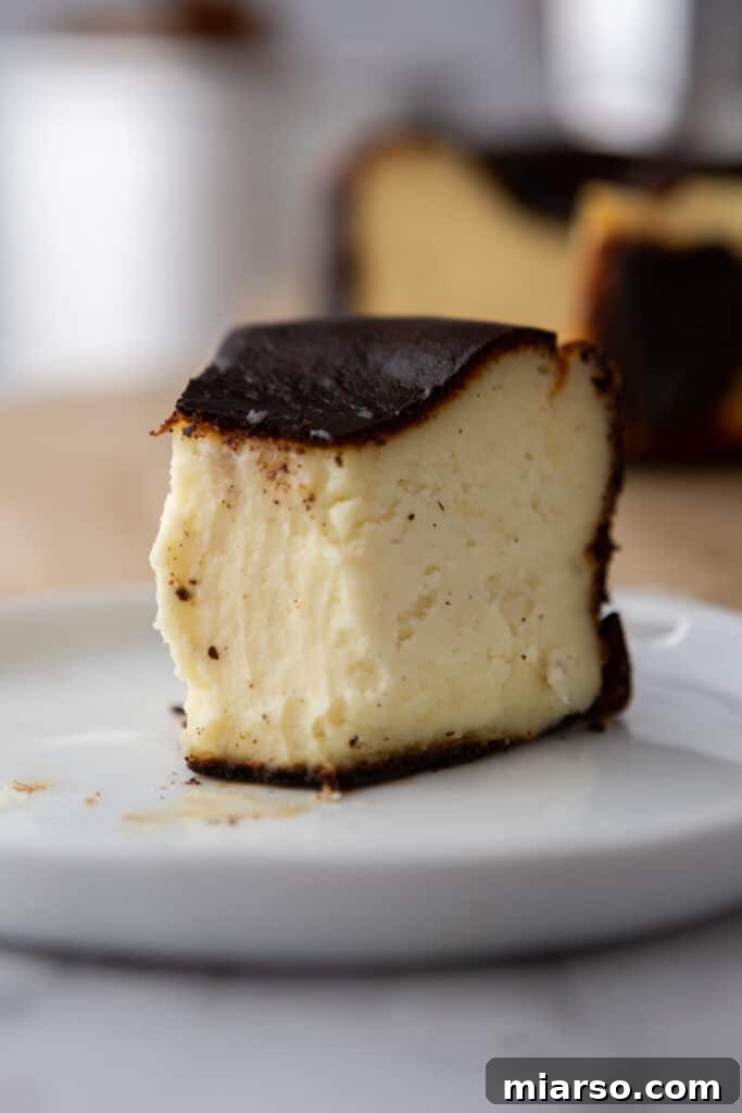 Side shot of the delicious 6-inch Burnt Basque Cheesecake