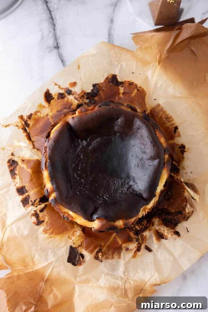 Fully baked Burnt Basque Cheesecake in the pan, showing its dark, caramelized top