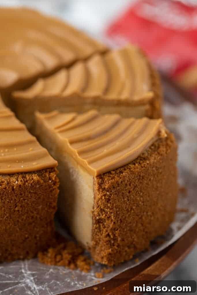 Close-up of a perfectly sliced 6-inch Biscoff cheesecake, showcasing its creamy layers and golden crust.