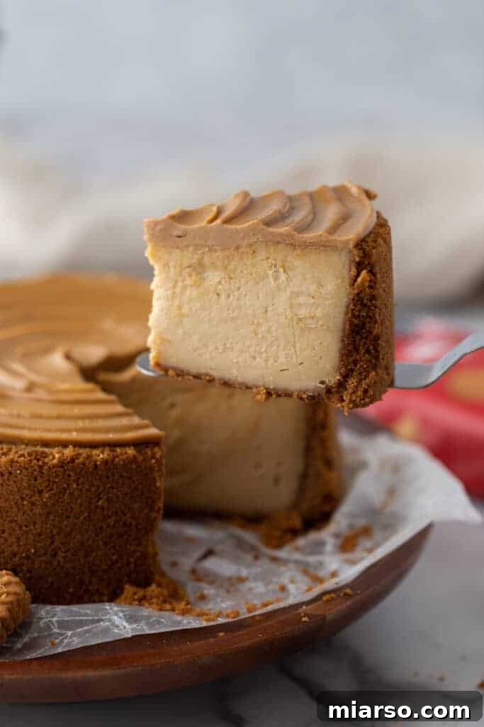A slice of the 6-inch Biscoff cheesecake being gracefully lifted with a serving spatula, ready to be enjoyed.