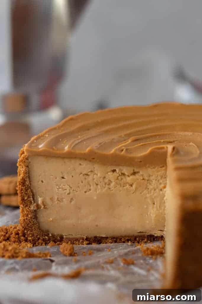 A side view of the inside of the 6-inch cookie butter cheesecake, showing its distinct layers and creamy texture.