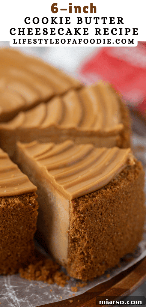 Pinterest pin image featuring a beautifully presented 6-inch Biscoff Cheesecake slice with a focus on its layered texture.