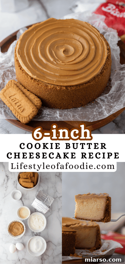 Another Pinterest pin image for the 6-inch Biscoff Cheesecake, emphasizing its creamy topping and golden-brown crust.
