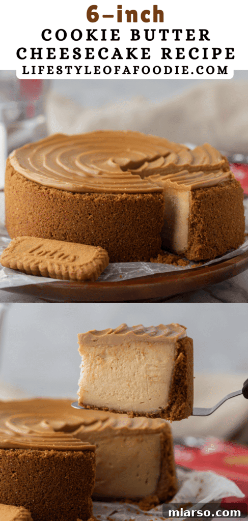 A third Pinterest pin image of the 6-inch cookie butter cheesecake, showcasing a whole cheesecake with a delicious swirl topping.