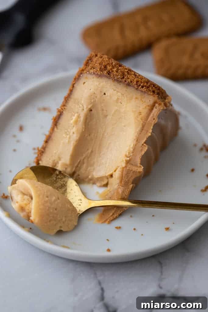 Close-up of a slice of the 6-inch cookie butter cheesecake, highlighting its three distinct Biscoff layers.