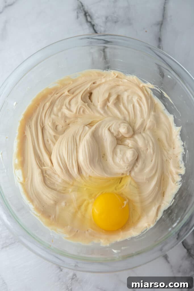 Sour cream and Biscoff spread added to the cream cheese mixture, ready to be incorporated for the filling.