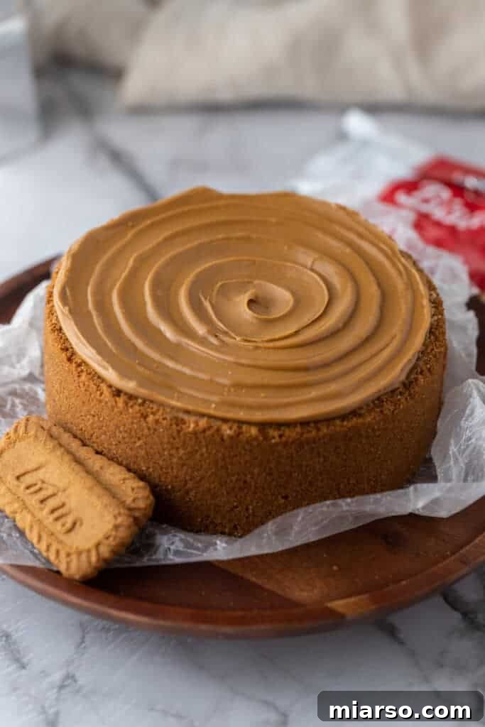 A fully baked 6-inch cookie butter cheesecake, perfectly golden and set, cooling down.