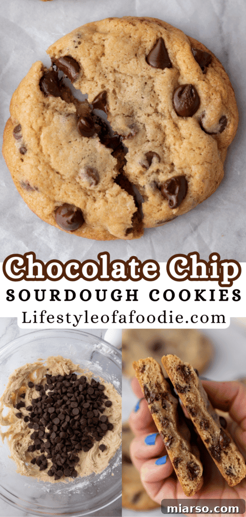 pinterest pin of the sourdough chocolate chip cookies