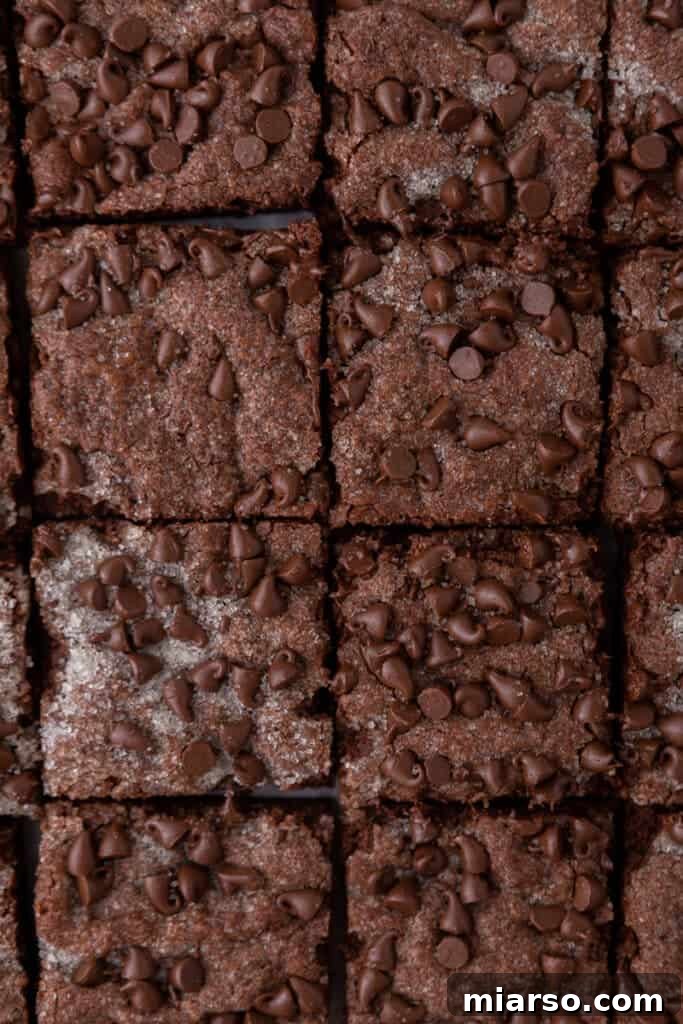 chocolate sugar cookie bars recipe cut into squares