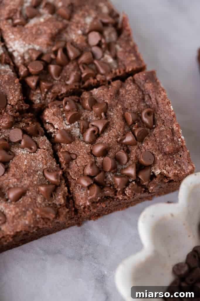close up of the chocolate sugar cookie bars recipe