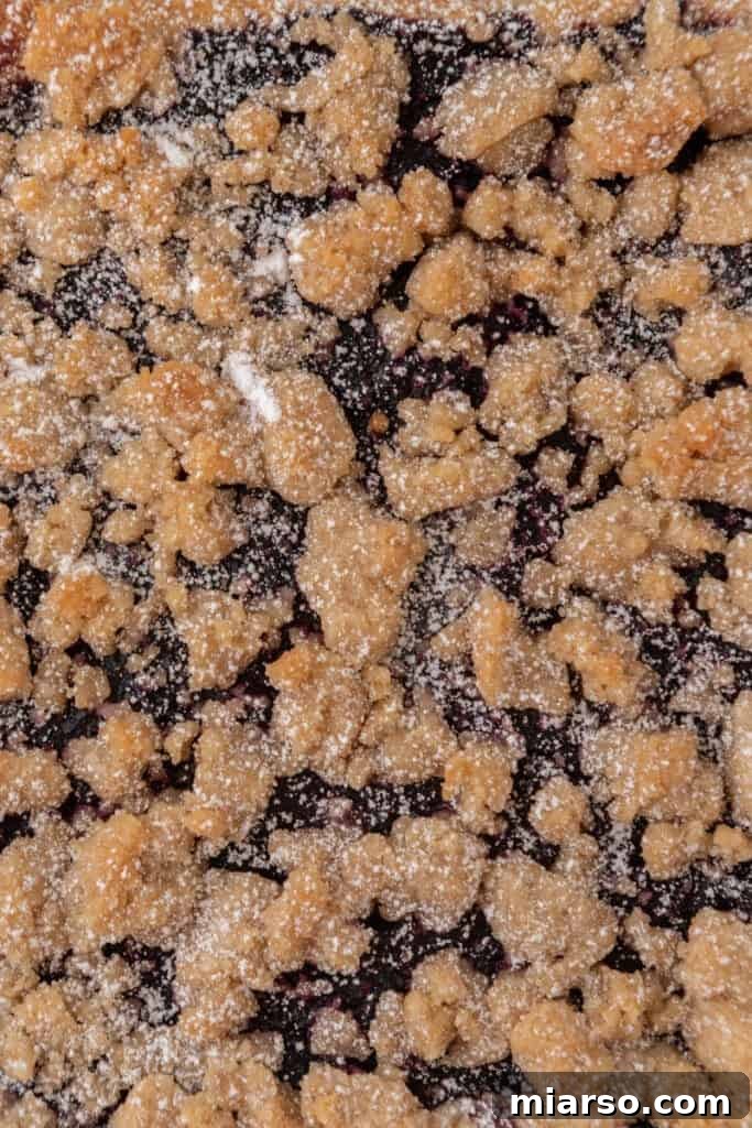 Overhead close-up shot of golden blueberry blondies