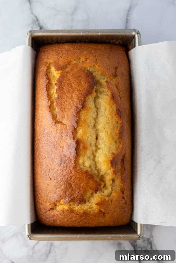 Golden-brown baked lemon loaf in the pan, just out of the oven