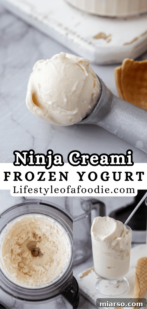 Another Pinterest pin for the Ninja Creami frozen yogurt recipe, featuring a close-up of the creamy texture.