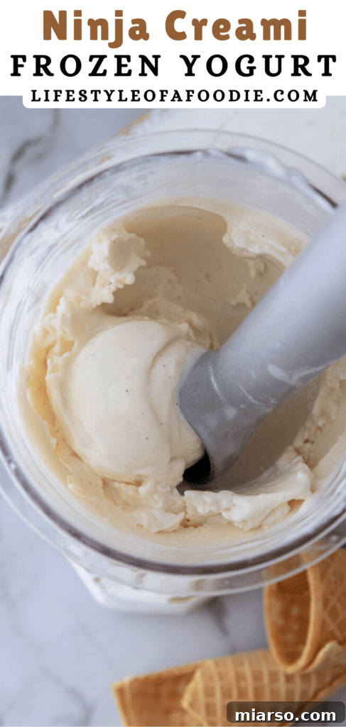 A third Pinterest pin showcasing the deliciousness of Ninja Creami frozen yogurt, ideal for social sharing.