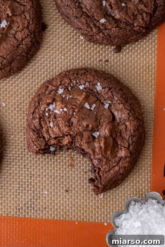 Overhead shot of a single brownie cookie, highlighting its rich texture and crinkled top.