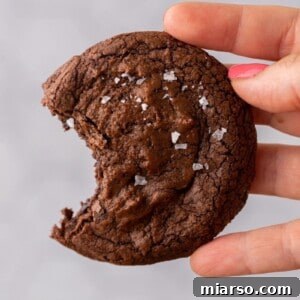 Hand holding brownie cookie