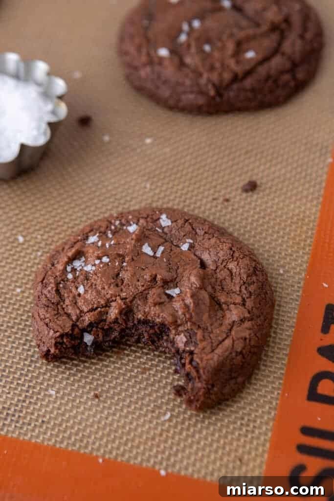 A brownie cookie with a bite taken out of it, revealing its soft, fudgy interior.
