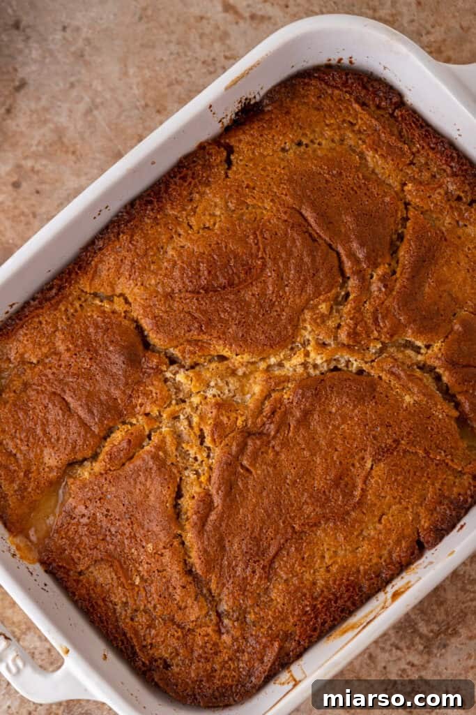 baked batter and fruit in a dish