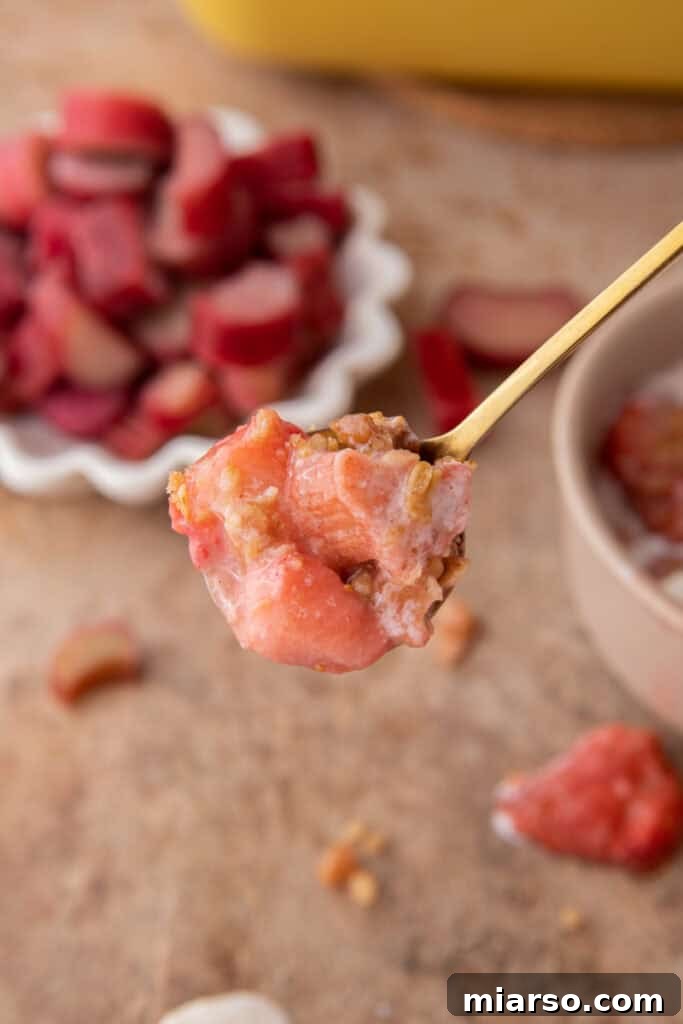 Your New Favorite Strawberry Rhubarb Crisp 13 A spoonful of strawberry rhubarb crisp showing the vibrant fruit and crunchy topping.