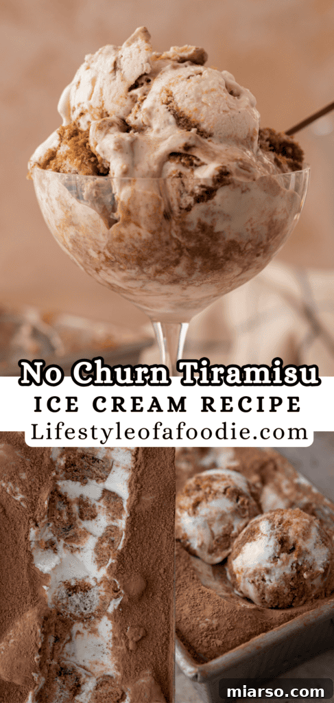 Effortless No-Churn Tiramisu Ice Cream 18 pinterest pin for the No churn tiramisu ice cream recipe