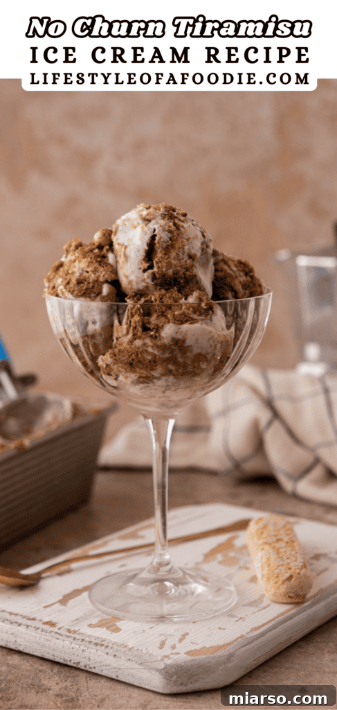 Effortless No-Churn Tiramisu Ice Cream 19 pinterest pin for the No churn tiramisu ice cream recipe