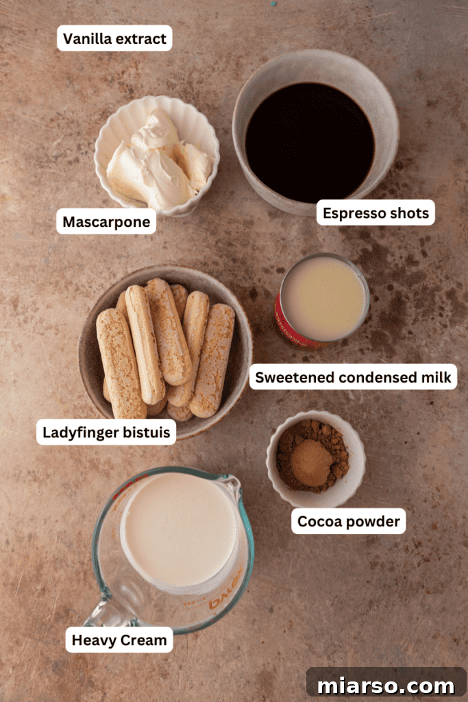 Effortless No-Churn Tiramisu Ice Cream 3 ingredients for the No churn tiramisu ice cream recipe