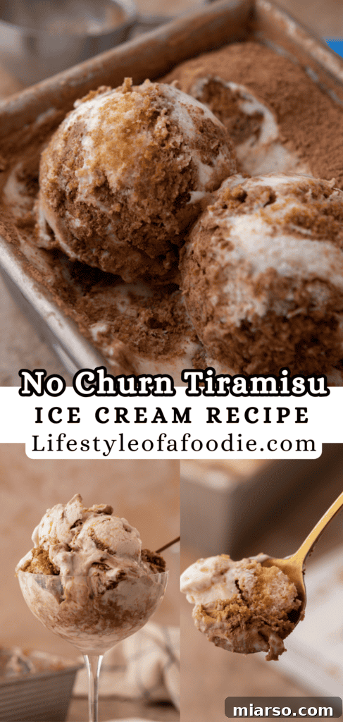 Effortless No-Churn Tiramisu Ice Cream 20 pinterest pin for the No churn tiramisu ice cream recipe