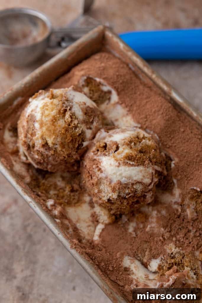 Effortless No-Churn Tiramisu Ice Cream 4 No churn tiramisu ice cream recipe in a loaf pan