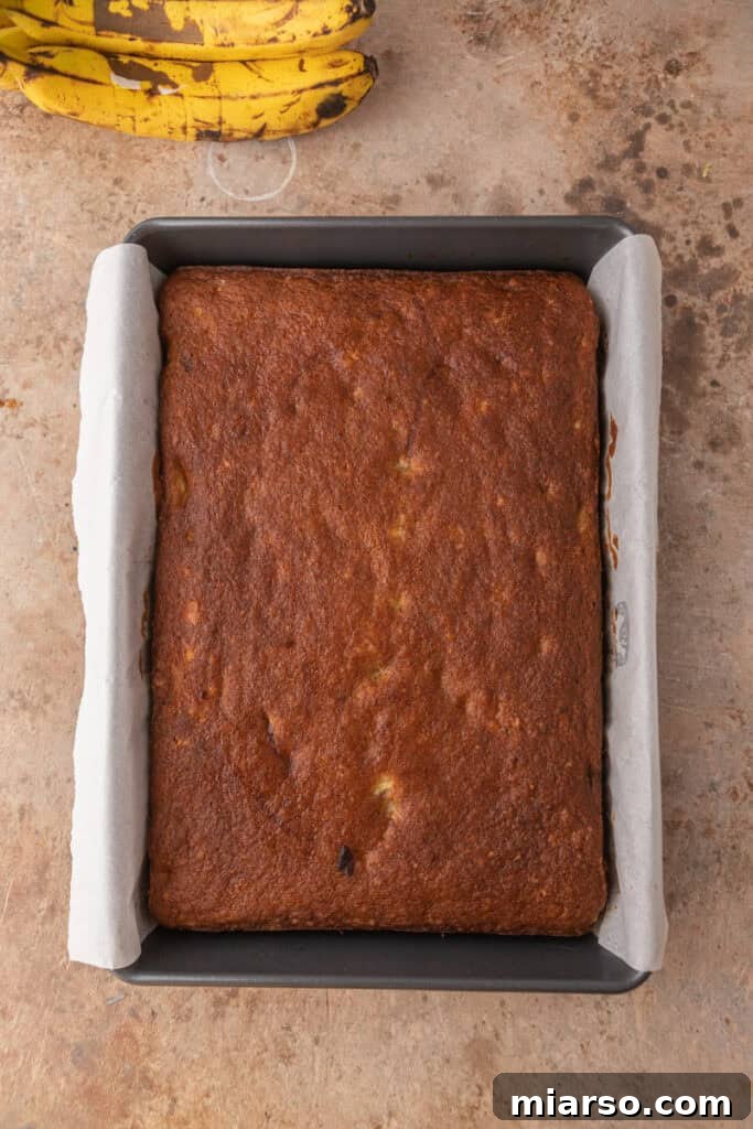 Simply Irresistible Banana Cake 11 Fully baked banana cake in a pan, unfrosted