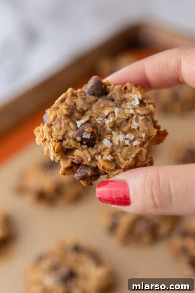 Wholesome Banana Oat Cookies 2 Healthy Oatmeal Banana Cookies being held up by a hand, showcasing their delicious texture