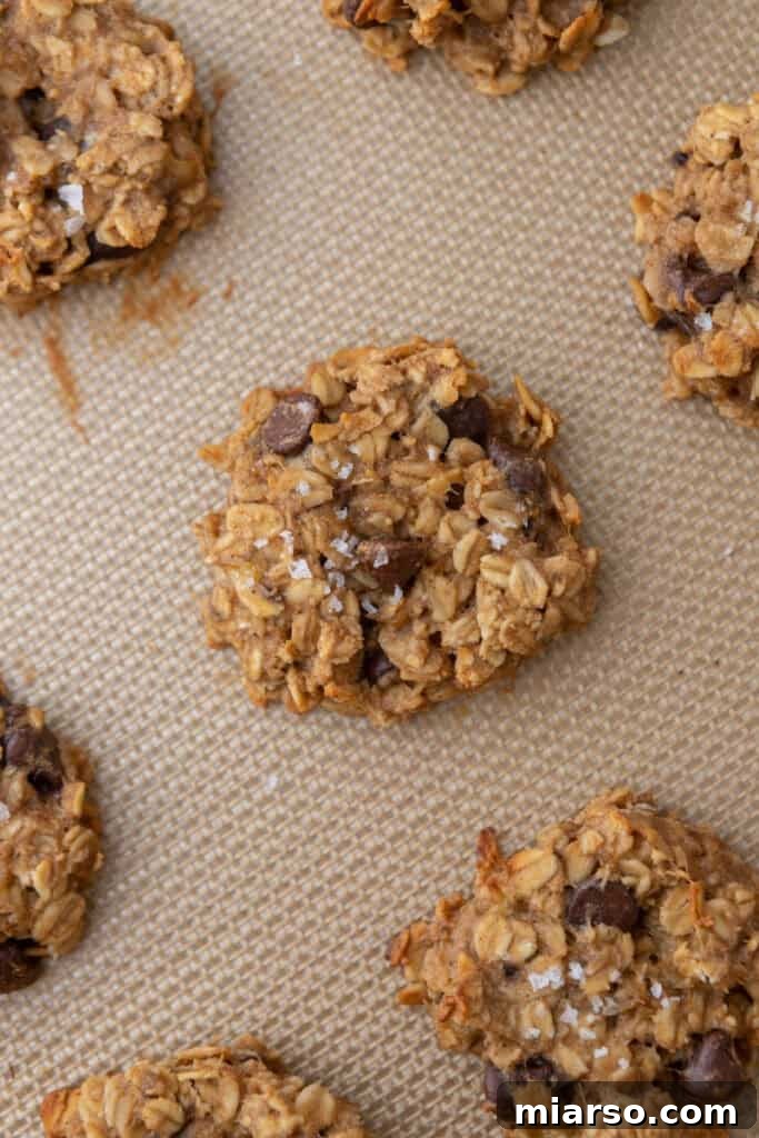 Wholesome Banana Oat Cookies 13 Overhead shot of the Healthy Oatmeal Banana Cookies recipe on a cooling rack
