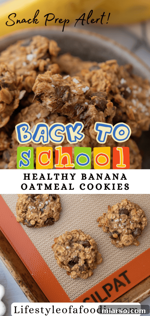 Wholesome Banana Oat Cookies 16 Pinterest pin image of the Healthy Oatmeal Banana Cookies recipe, square format