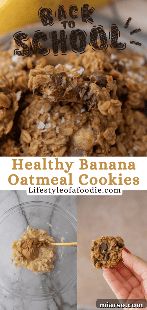 Wholesome Banana Oat Cookies 18 Another Pinterest pin image for the Healthy Oatmeal Banana Cookies recipe, with text overlay