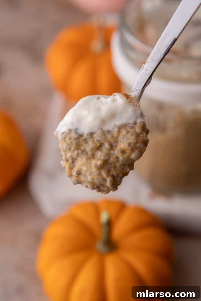 Creamy Pumpkin Spice Chia Seed Pudding 2 A spoon lifting a creamy bite of Pumpkin Pie Spice Chia Seed Pudding, showcasing its inviting texture and festive autumn color.