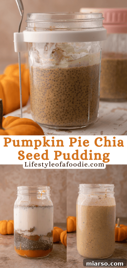 Creamy Pumpkin Spice Chia Seed Pudding 15 Another Pin image for Chia Seed Pumpkin Pudding recipe, highlighting its creamy texture and delicious fall flavors.