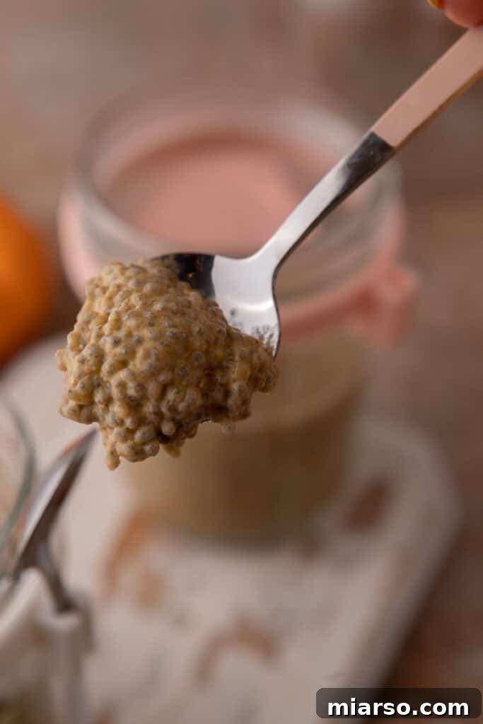 Creamy Pumpkin Spice Chia Seed Pudding 8 A close-up of a spoon digging into the creamy Pumpkin Pie Spice Chia Seed Pudding, highlighting its inviting texture.