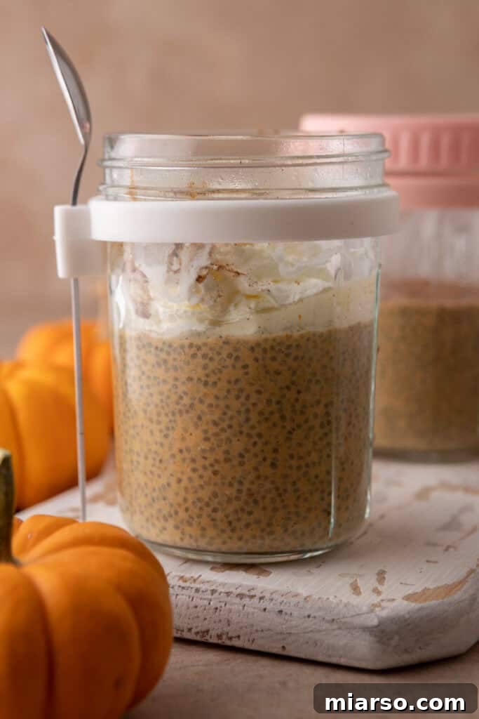 Creamy Pumpkin Spice Chia Seed Pudding 10 A single jar of Pumpkin Pie Spice Chia Seed Pudding, beautifully presented and ready to be enjoyed as a healthy and flavorful breakfast.