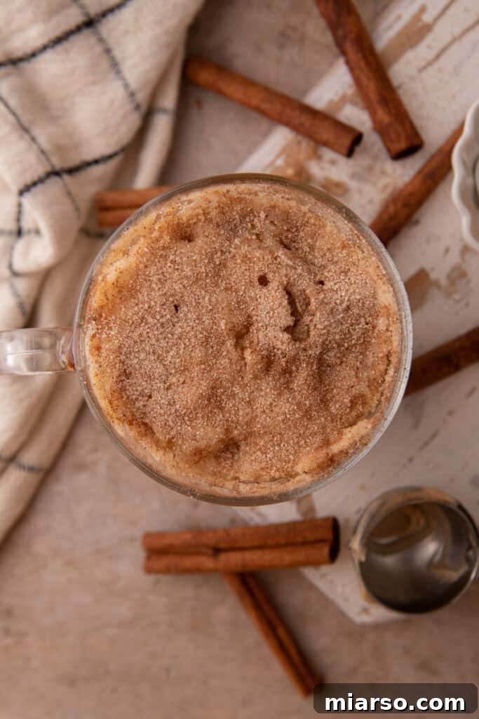 Overhead shot of the snickerdoodle mug cake recipe in a mug, garnished with cinnamon sugar