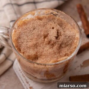 Snickerdoodle Mug Cake Recipe