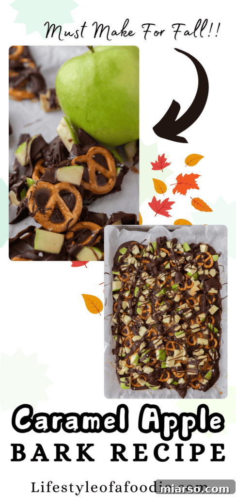 The Ultimate Caramel Apple Bark Recipe 13 caramel apple bark recipe pinterest pin