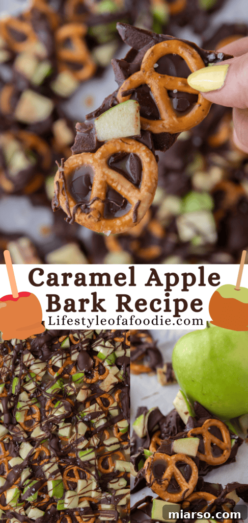 The Ultimate Caramel Apple Bark Recipe 15 caramel apple bark recipe pinterest pin