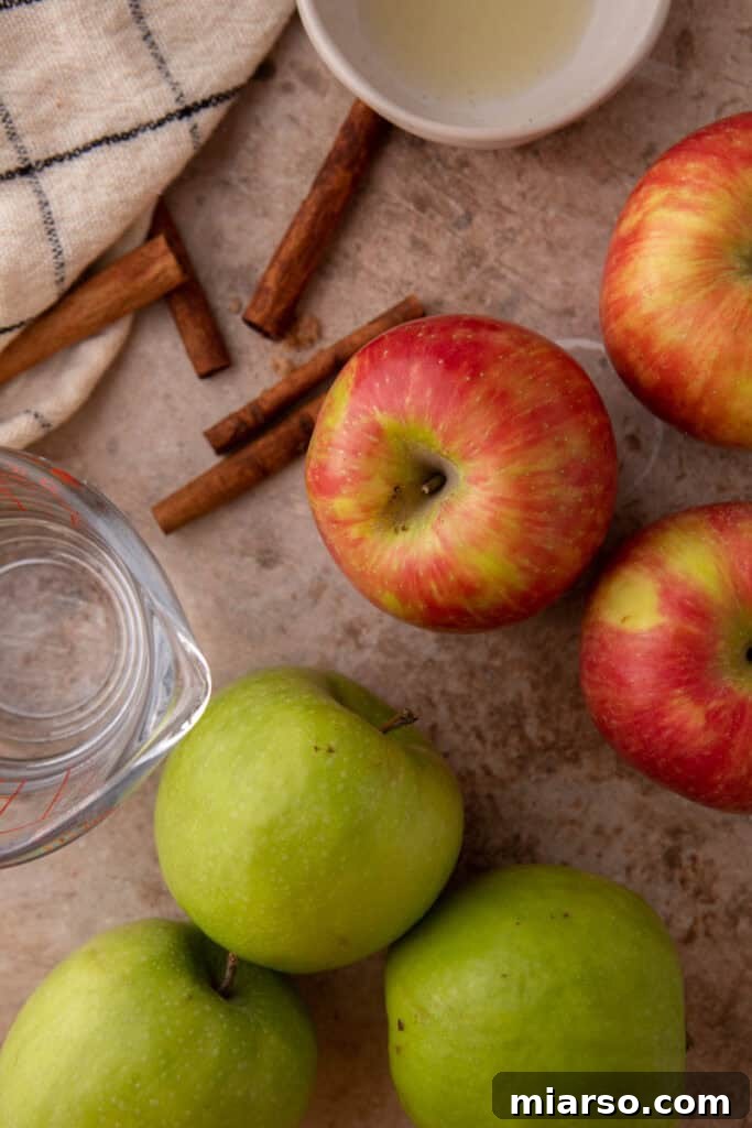 Effortless Instant Pot Applesauce Perfection 3 Instant Pot Apple Sauce Recipe ingredients laid out